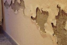 معالجة الرطوبة