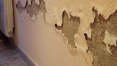 معالجة الرطوبة