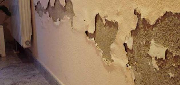 معالجة الرطوبة